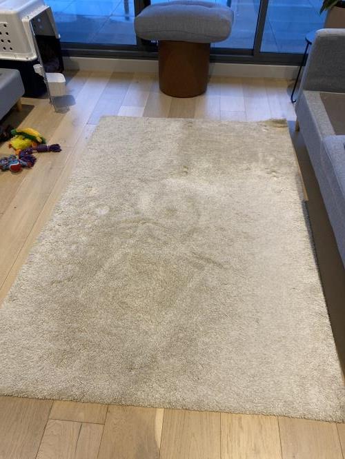 Second-hand IKEA Rug - Photo 1)