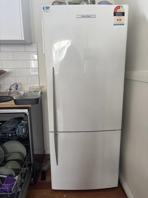 Second-hand Fisher & Paykel 442L Bottom Mount Fridge