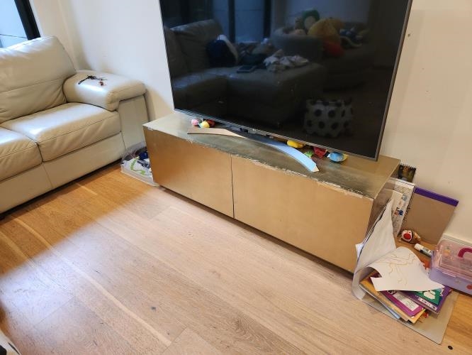 Second-hand Entertainment Unit - Photo 1)
