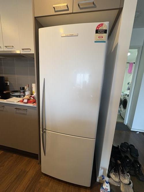 Second-hand Fisher & Paykel 403L Bottom Mount Fridge