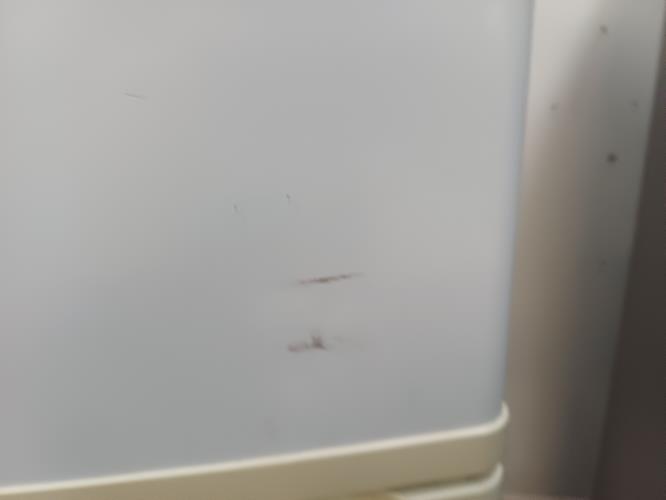 Second-hand Westinghouse 392L Top Mount Fridge - Photo 11)