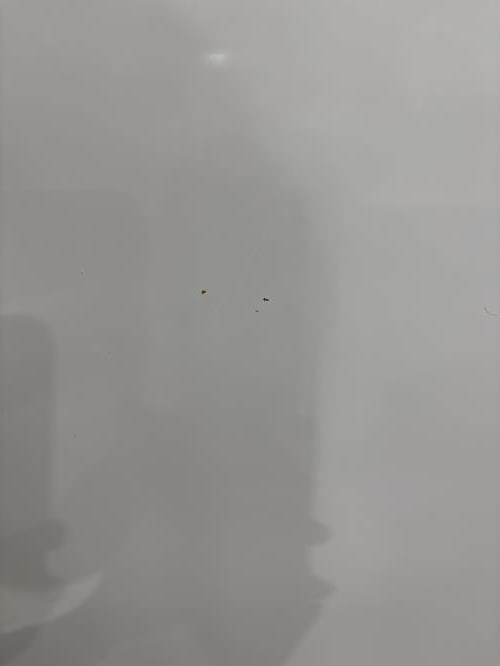 Second-hand Westinghouse 347L Top Mount Fridge - Photo 12)