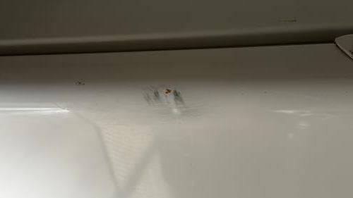 Second-hand Fisher & Paykel 380L Top Mount Fridge - Photo 13)