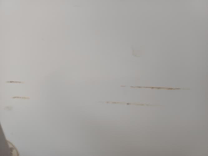Second-hand Westinghouse 392L Top Mount Fridge - Photo 14)