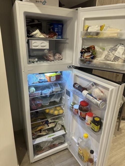 Second-hand Chiq 255L Top Mount Fridge - Photo 2)
