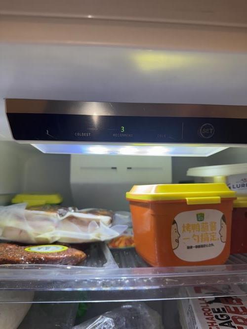 Second-hand Chiq 255L Top Mount Fridge - Photo 3)