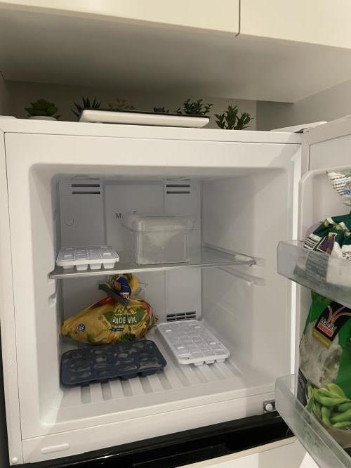 Second-hand Chiq 255L Top Mount Fridge - Photo 3)