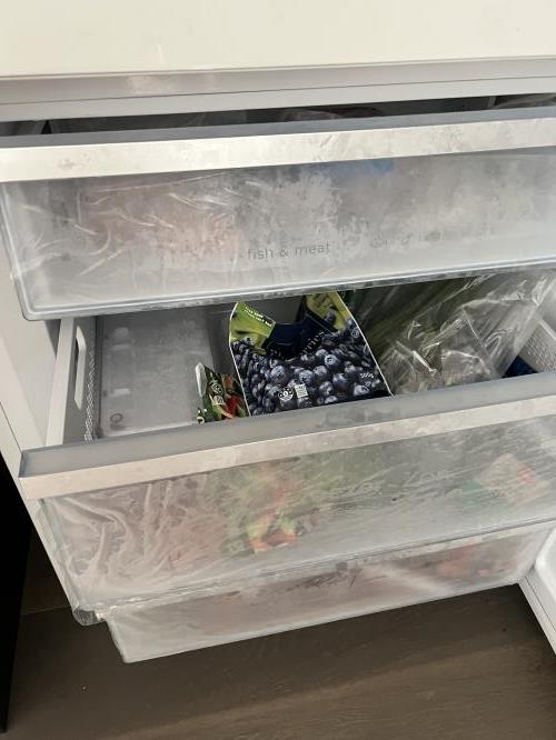 Second-hand Chiq 396L Bottom Mount Fridge - Photo 4)