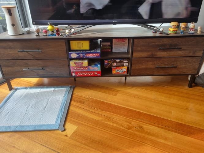Second-hand Entertainment Unit - Photo 4)