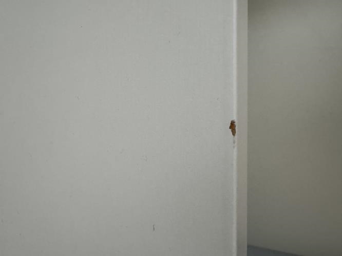 Second-hand Entertainment Unit - Photo 5)