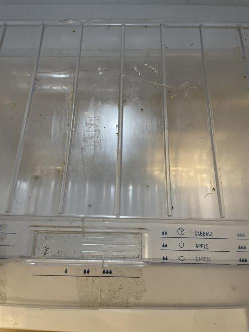 Second-hand Westinghouse 275L Top Mount Fridge - Photo 6)