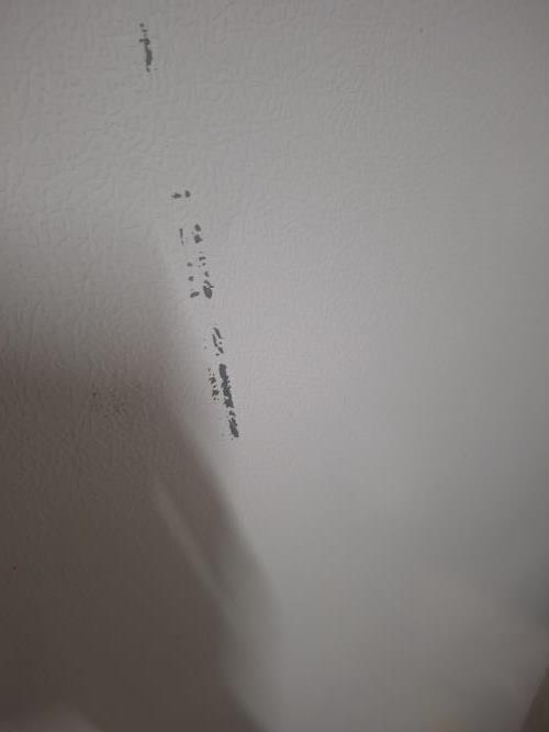 Second-hand Samsung 255L Top Mount Fridge - Photo 6)