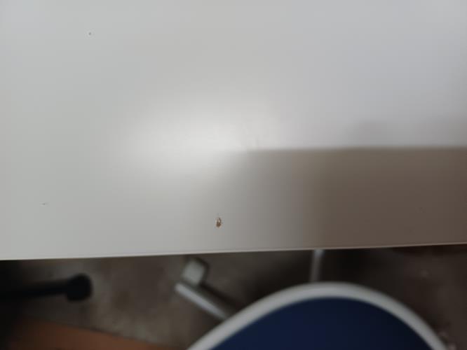 Second-hand IKEA LINNMON / ADILS table - Photo 6)