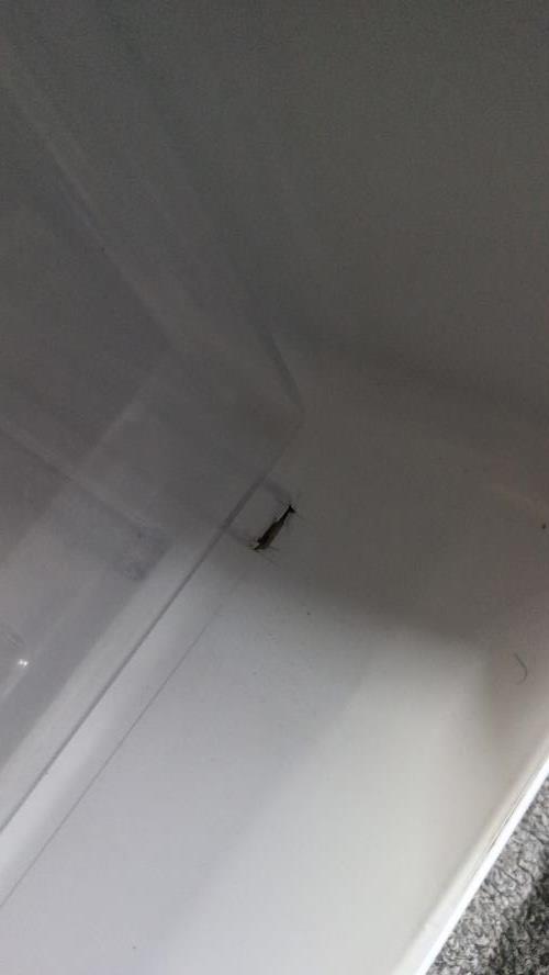 Second-hand Haier 222L Top Mount Fridge - Photo 6)