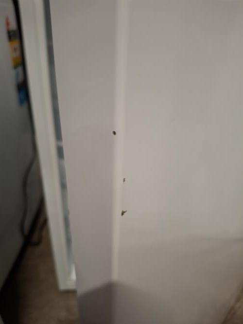 Second-hand Hisense 205L Top Mount Fridge - Photo 7)