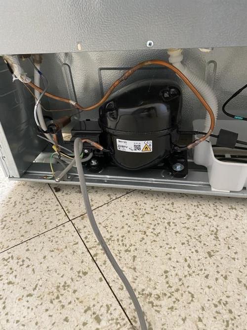 Second-hand Chiq 283L Bottom Mount Fridge - Photo 7)