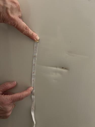Second-hand Fisher & Paykel 404L Bottom Mount Fridge - Photo 8)