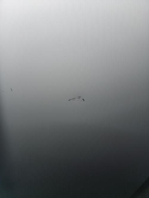 Second-hand Westinghouse 416L Top Mount Fridge - Photo 8)