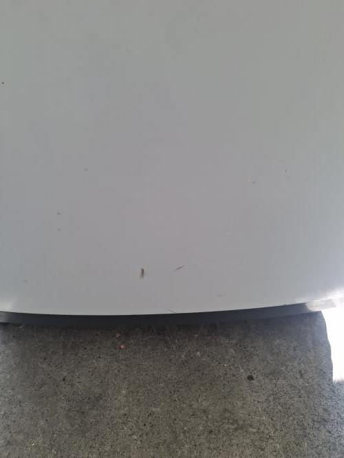 Second-hand Esatto 6kg Top Load Washing Machine - Photo 8)