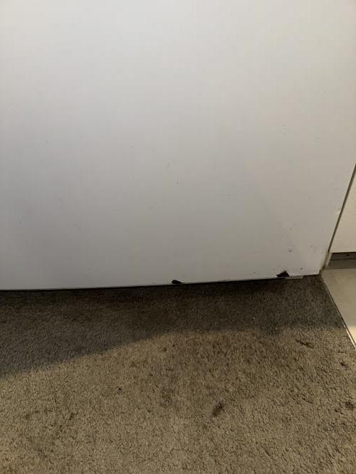 Second-hand Samsung 228L Top Mount Fridge - Photo 8)