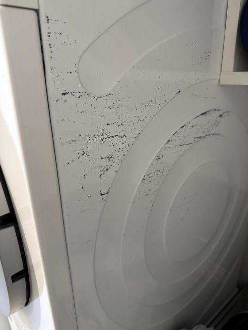 Second-hand Bosch 8kg Dryer - Photo 8)