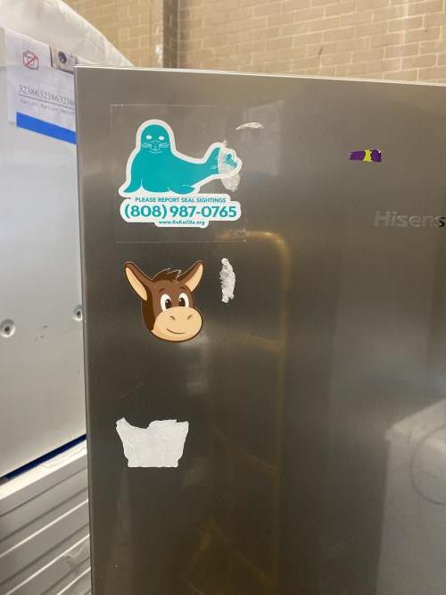 Second-hand Hisense 230L Top Mount Fridge - Photo 9)
